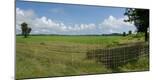 Premium Photographic Print