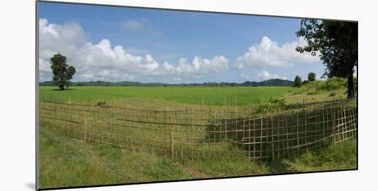 Agricultural field with fence near Mrauk U, Rakhine State, Myanmar-null-Mounted Photographic Print