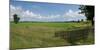 Agricultural field with fence near Mrauk U, Rakhine State, Myanmar-null-Mounted Photographic Print