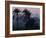 Agricultural Flood Plain, Mudbrick Step Pyramid, 3rd Dynasty, Saqqara, Egypt-Kenneth Garrett-Framed Photographic Print