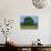 Agricultural Landscape of Cows Beneath an Oak Tree in a Field of Buttercups in England, UK-null-Photographic Print displayed on a wall