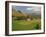 Agricultural Landscape of Farmland and Hills Near Salers, Cantal, Auvergne, France-Michael Busselle-Framed Photographic Print