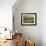 Agricultural Landscape of Farmland and Hills Near Salers, Cantal, Auvergne, France-Michael Busselle-Framed Photographic Print displayed on a wall