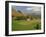 Agricultural Landscape of Farmland and Hills Near Salers, Cantal, Auvergne, France-Michael Busselle-Framed Photographic Print