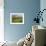 Agricultural Landscape of Farmland and Hills Near Salers, Cantal, Auvergne, France-Michael Busselle-Framed Photographic Print displayed on a wall