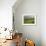 Agricultural Landscape of Farmland and Hills Near Salers, Cantal, Auvergne, France-Michael Busselle-Framed Photographic Print displayed on a wall