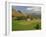 Agricultural Landscape of Farmland and Hills Near Salers, Cantal, Auvergne, France-Michael Busselle-Framed Photographic Print