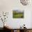 Agricultural Landscape of Farmland and Hills Near Salers, Cantal, Auvergne, France-Michael Busselle-Photographic Print displayed on a wall