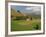 Agricultural Landscape of Farmland and Hills Near Salers, Cantal, Auvergne, France-Michael Busselle-Framed Photographic Print