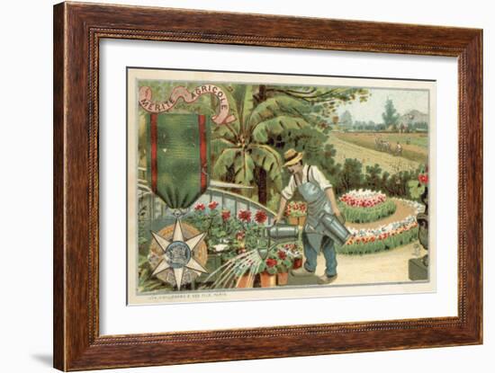 Agricultural Merit Medal-null-Framed Giclee Print