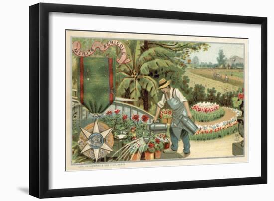 Agricultural Merit Medal-null-Framed Giclee Print