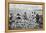 Agricultural Workers Harvesting Pineapples on a Plantation in Hawaii, Ca. 1920-null-Framed Stretched Canvas