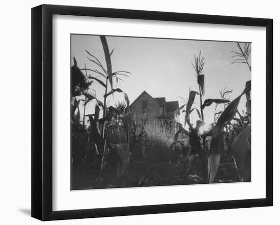Agriculture Fams in Nebraska-null-Framed Photographic Print