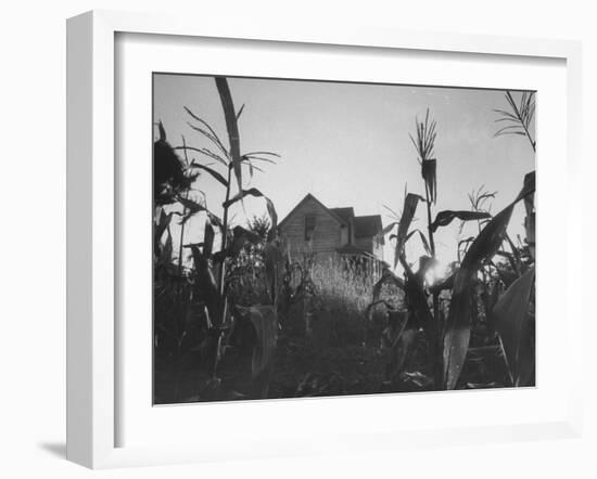 Agriculture Fams in Nebraska-null-Framed Photographic Print