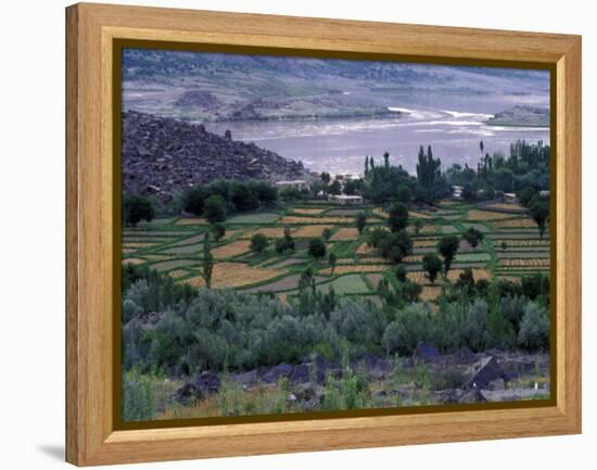 Agriculture Fields, Indus Valley, Pakistan-Gavriel Jecan-Framed Premier Image Canvas