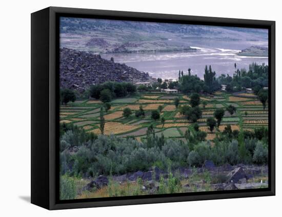 Agriculture Fields, Indus Valley, Pakistan-Gavriel Jecan-Framed Premier Image Canvas