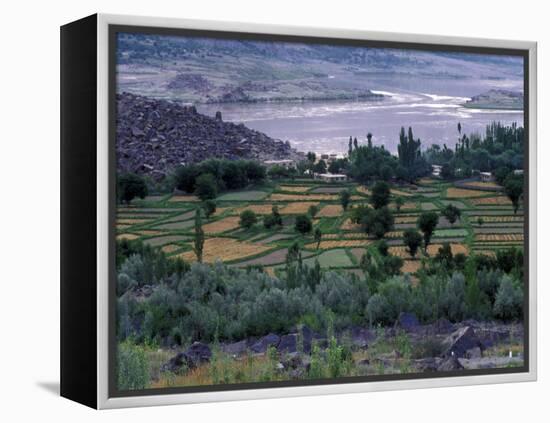 Agriculture Fields, Indus Valley, Pakistan-Gavriel Jecan-Framed Premier Image Canvas