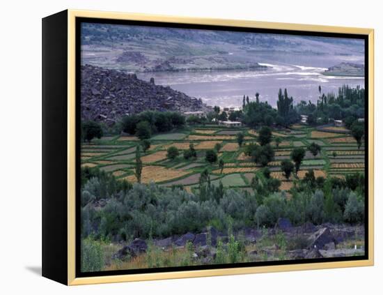 Agriculture Fields, Indus Valley, Pakistan-Gavriel Jecan-Framed Premier Image Canvas