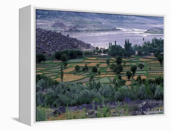 Agriculture Fields, Indus Valley, Pakistan-Gavriel Jecan-Framed Premier Image Canvas