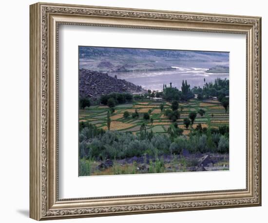 Agriculture Fields, Indus Valley, Pakistan-Gavriel Jecan-Framed Photographic Print