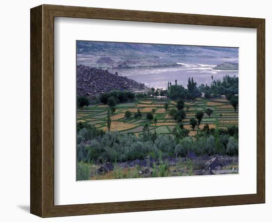 Agriculture Fields, Indus Valley, Pakistan-Gavriel Jecan-Framed Photographic Print