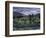 Agriculture Fields, Indus Valley, Pakistan-Gavriel Jecan-Framed Photographic Print