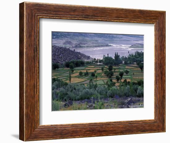 Agriculture Fields, Indus Valley, Pakistan-Gavriel Jecan-Framed Photographic Print