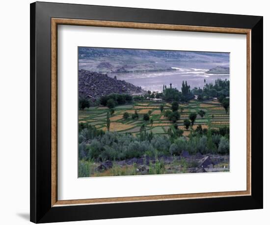 Agriculture Fields, Indus Valley, Pakistan-Gavriel Jecan-Framed Photographic Print