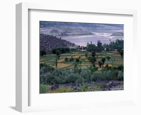 Agriculture Fields, Indus Valley, Pakistan-Gavriel Jecan-Framed Photographic Print