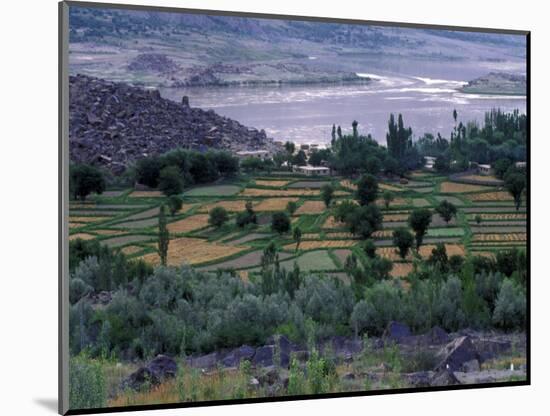 Agriculture Fields, Indus Valley, Pakistan-Gavriel Jecan-Mounted Photographic Print