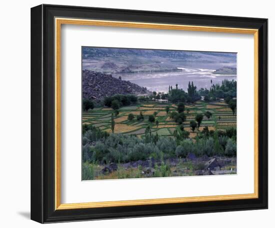 Agriculture Fields, Indus Valley, Pakistan-Gavriel Jecan-Framed Photographic Print