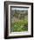 Agriculture near Pedra Badejo. Santiago Island, Cape Verde.-Martin Zwick-Framed Photographic Print