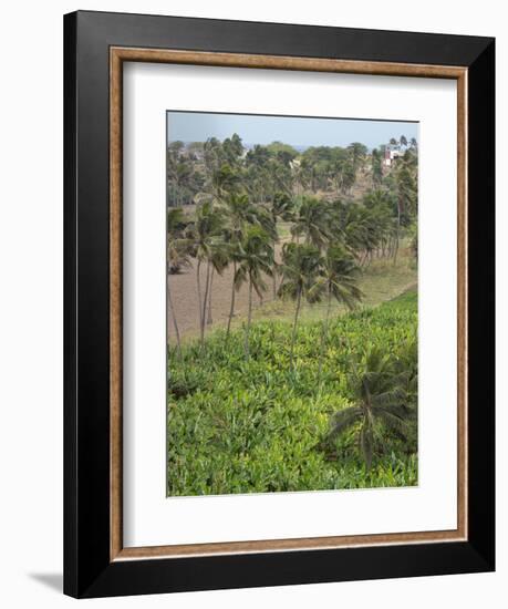 Agriculture near Pedra Badejo. Santiago Island, Cape Verde.-Martin Zwick-Framed Photographic Print