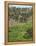 Agriculture near Pedra Badejo. Santiago Island, Cape Verde.-Martin Zwick-Framed Premier Image Canvas