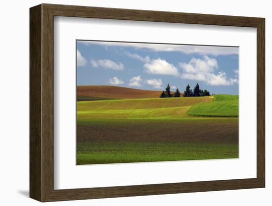 Agriculture, Palouse View, Whitman County, Washington, USA-Michel Hersen-Framed Photographic Print