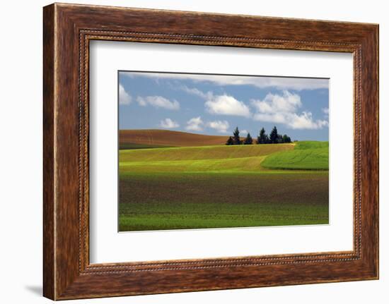 Agriculture, Palouse View, Whitman County, Washington, USA-Michel Hersen-Framed Photographic Print