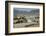 Agriculture under Plastic, Anamur Plain, Taurus Coast-Tony Waltham-Framed Photographic Print