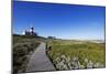 Agulhas lighthouse at southernmost tip of Africa, Agulhas Nat'l Park, Western Cape, South Africa-Christian Kober-Mounted Photographic Print