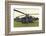 AH-64A Apache Helicopter-null-Framed Premium Giclee Print