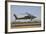 Ah-64D Apache Longbow Lifts Off on a Mission-Stocktrek Images-Framed Photographic Print