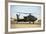 Ah-64D Apache Longbow Taxiing Out to the Launch Pad-Stocktrek Images-Framed Photographic Print