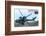 AH-64E Apache Helicopter-null-Framed Premium Giclee Print