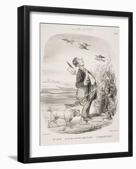 Ah! Sapristi.... Je Crois Que Ce Sont Des Oiseaux De Proie.... Ils Mangeaient Du Raisin!-Honore Daumier-Framed Giclee Print
