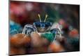 Premium Photographic Print