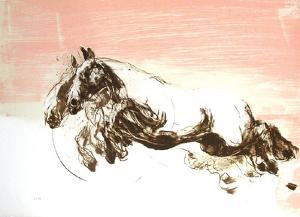 Galop by Ahmed Shahabuddin