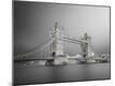 Premium Photographic Print