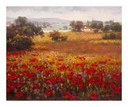 Italian Poppy Vista I-Ahn Seung Koo-Framed Art Print