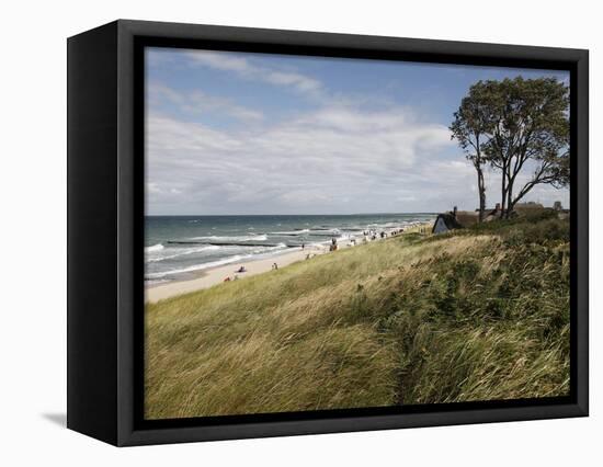 Ahrenhoop, Baltic Sea, Darvu-Fischland, Mecklenburg-Western Pomerania, Germany, Europe-Hans Peter Merten-Framed Premier Image Canvas