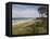 Ahrenhoop, Baltic Sea, Darvu-Fischland, Mecklenburg-Western Pomerania, Germany, Europe-Hans Peter Merten-Framed Premier Image Canvas