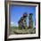 Ahu Nau Nau at Anakena Beach, Easter Island, Chile-Geoff Renner-Framed Photographic Print